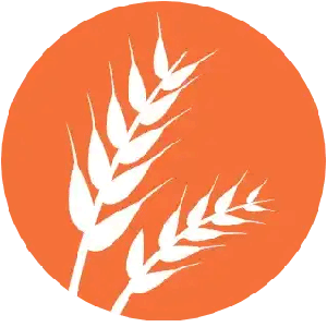 gluten