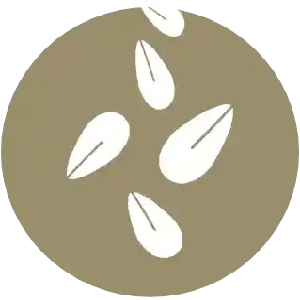 sésamo